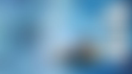 The State of Business in the Age of Covid-19