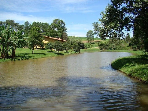 Sitio Pinheiros 29.jpg