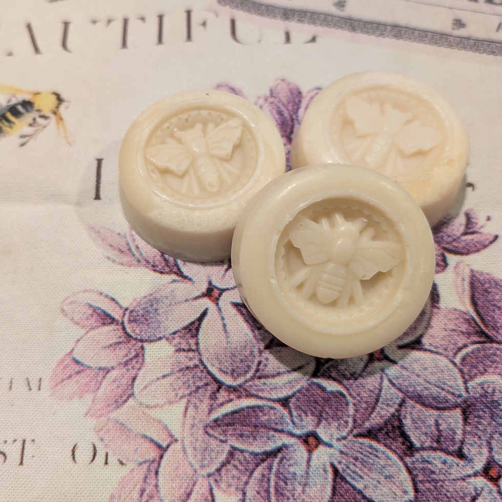 Shampoo Bar