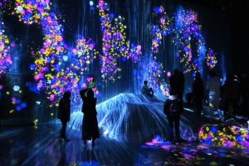 A Dreamy Date Spot in Tokyo – teamLab Borderless
