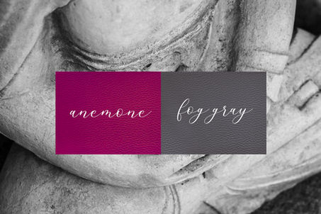 anemone & fog