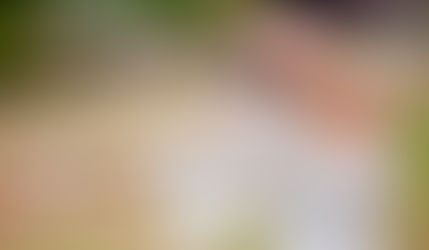 Learn to Love Yourself