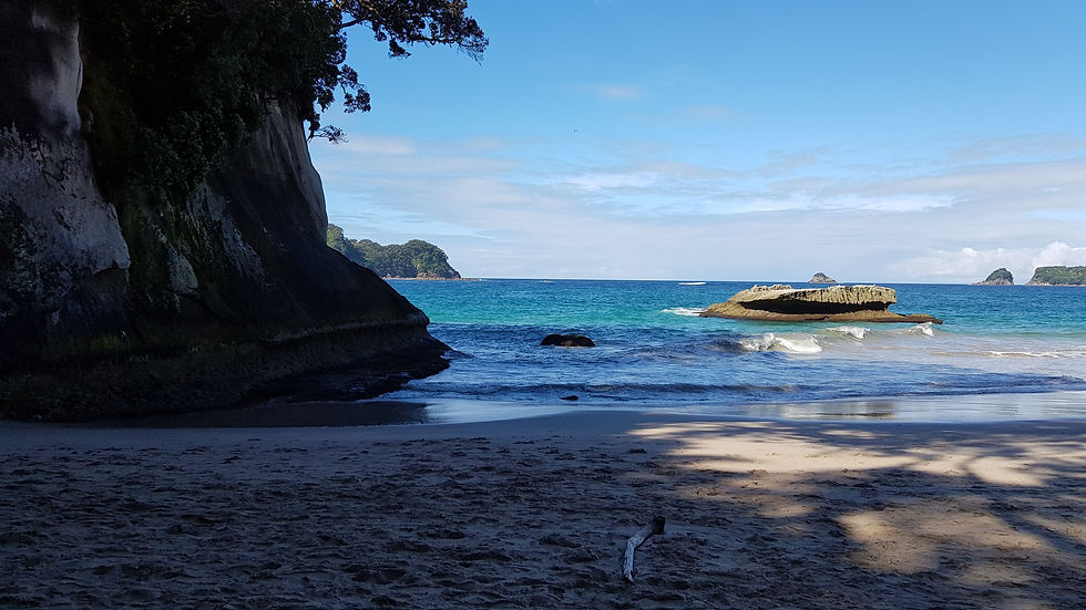 Cathedral cove 