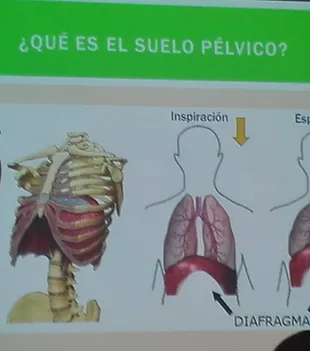 tener presión en el área pélvica