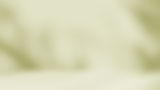 empty-light-green-brown-room-studio-with-leaves-sh-2026-03-25-04-05-48-utc.jpg