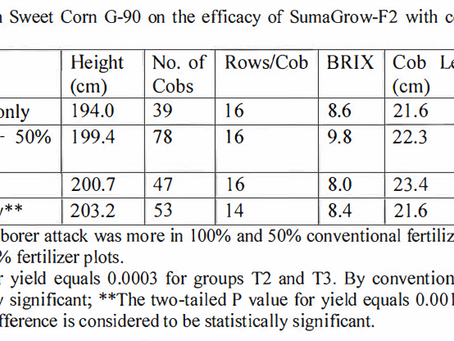 Trial Result - Lalitha-21 vs Conventional Fertilizer (Sweet Corn)
