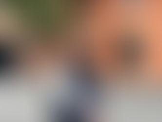 Mini Festival: Laneways Guided Walk