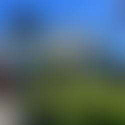 Members' Visit to The Summit