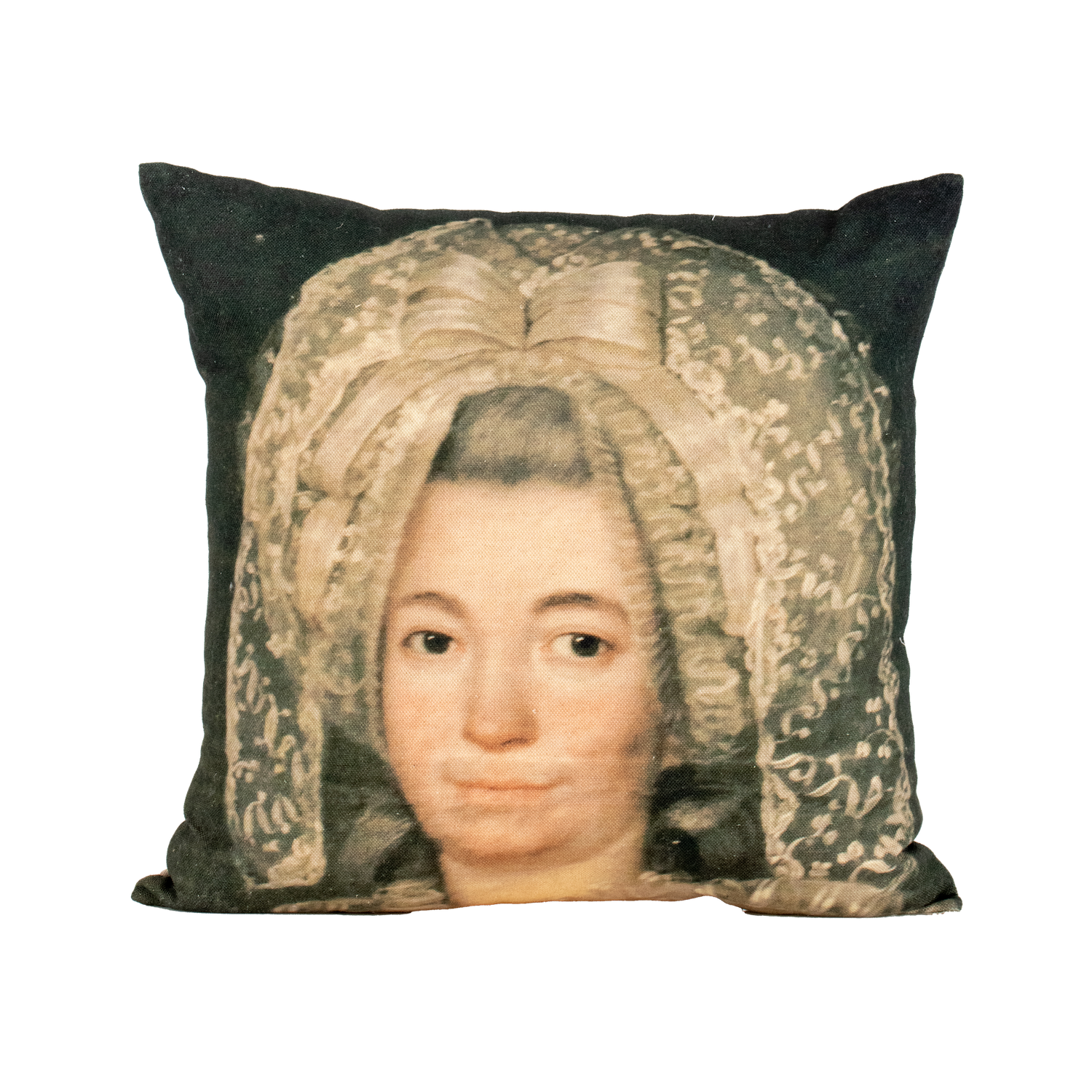 Cushion N°31