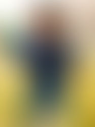 Dino Stomp Colorblock Sweater – Boys