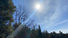 Presence brings CLARITY, and with clarity comes OPPORTUNITIES…