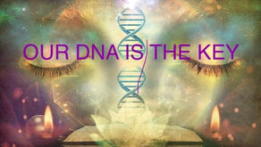 Awakening isn’t a choice, ITS OUR HIGHEST RESPONSIBILITY…