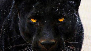 Judgement and it’s effect on our Vibration