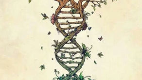 How Intentionally Clearing and Tending to our “Inner Garden” becomes MASTERY…