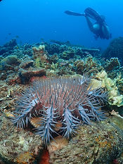 P8190179_edited.jpg