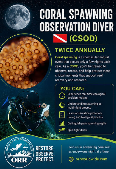 CSOD POSTER