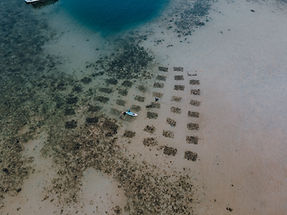 DJI_0115.jpg