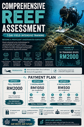 CRA payment plan