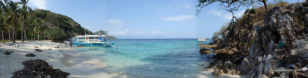 P3120105.JPG