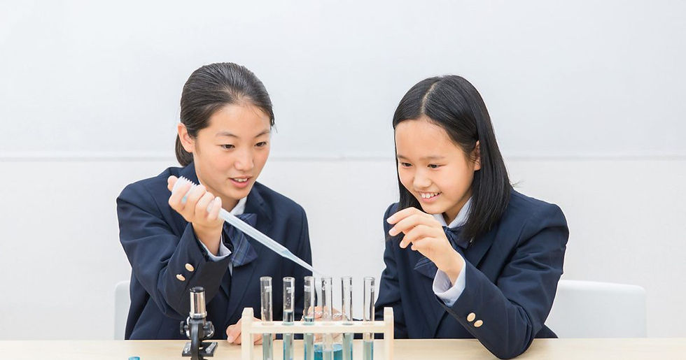 アメリカの小学校のサイエンスフェアとは