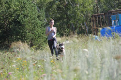 каникросс спринт