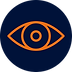 vision (1).png