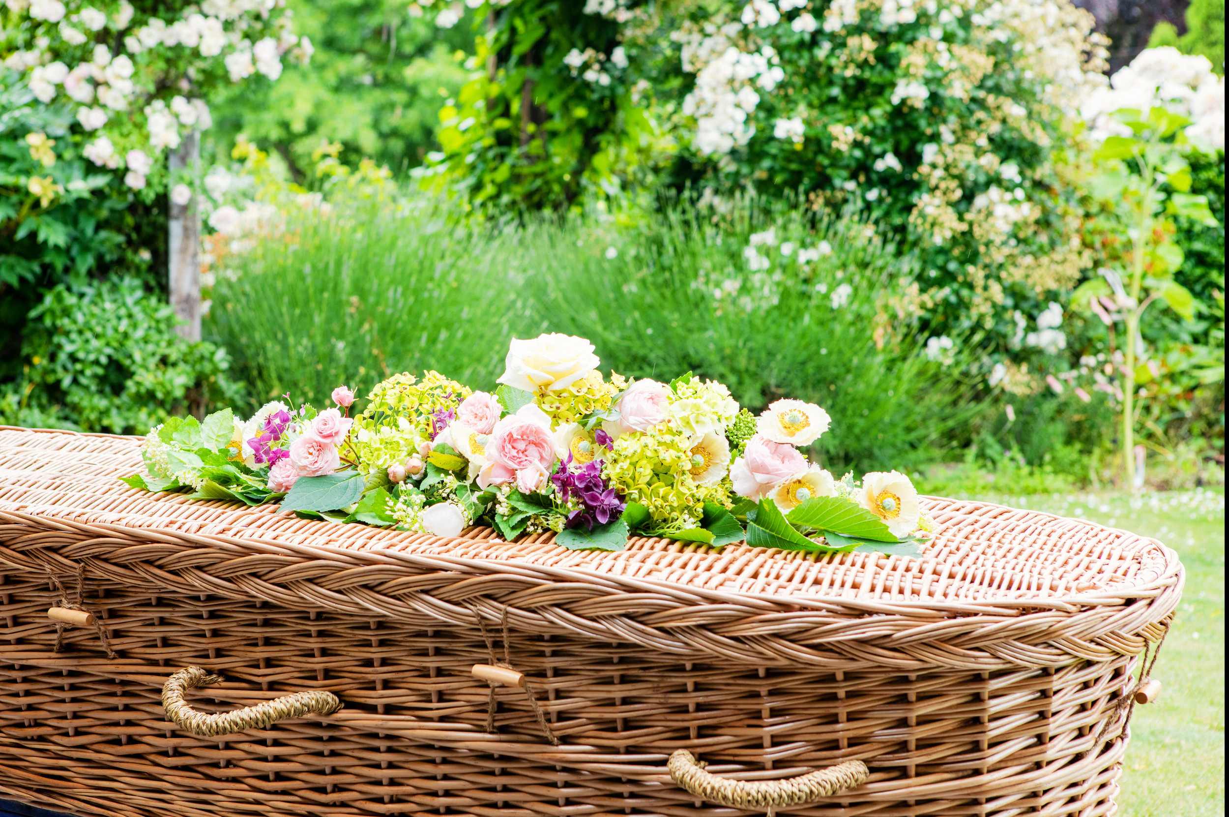 funeral supply stockist nz