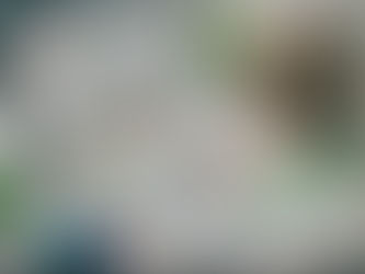 עיצוב מקצועי בלי פוטושופ