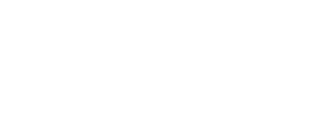 RESULTADOS JEEP INGLES.png