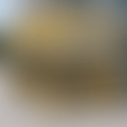 Budget 2025 - ‘A Bike Shed Budget?’ How to do even better...