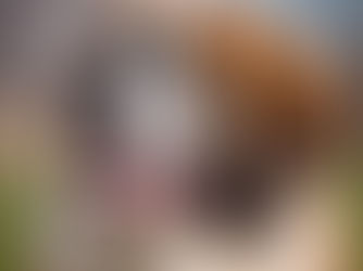 Our watchdogs need more teeth