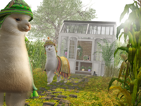 "Alpacas"
