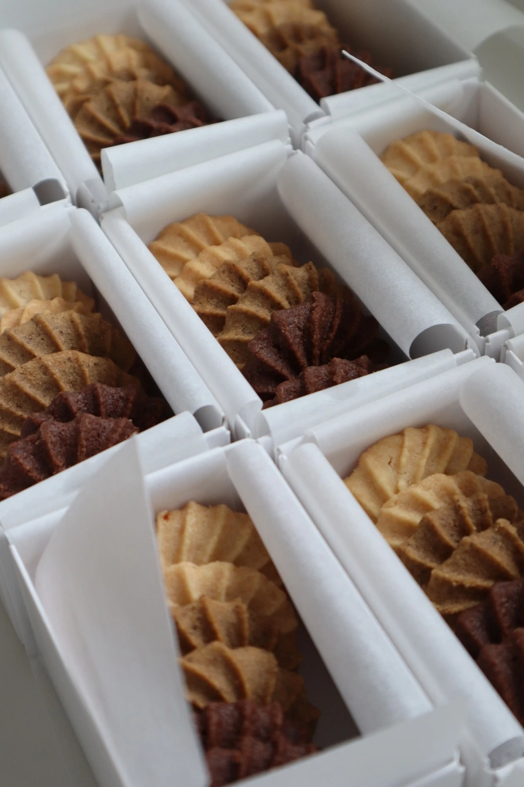 Open SALT mini boxes with cookies nestled in parchment