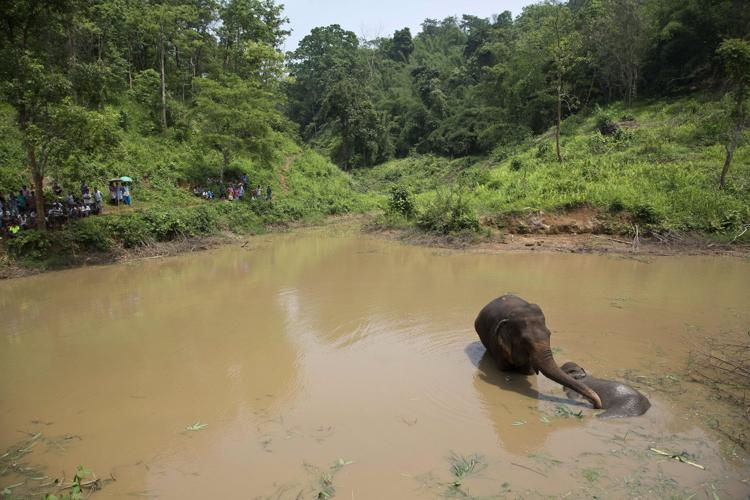 Amchang Wildlife Sanctuary