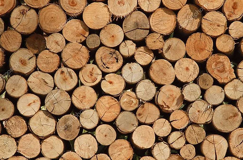 depositphotos_11808631-stock-photo-background-of-dry-firewood-logs.jpg