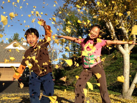 A Little Bit about David