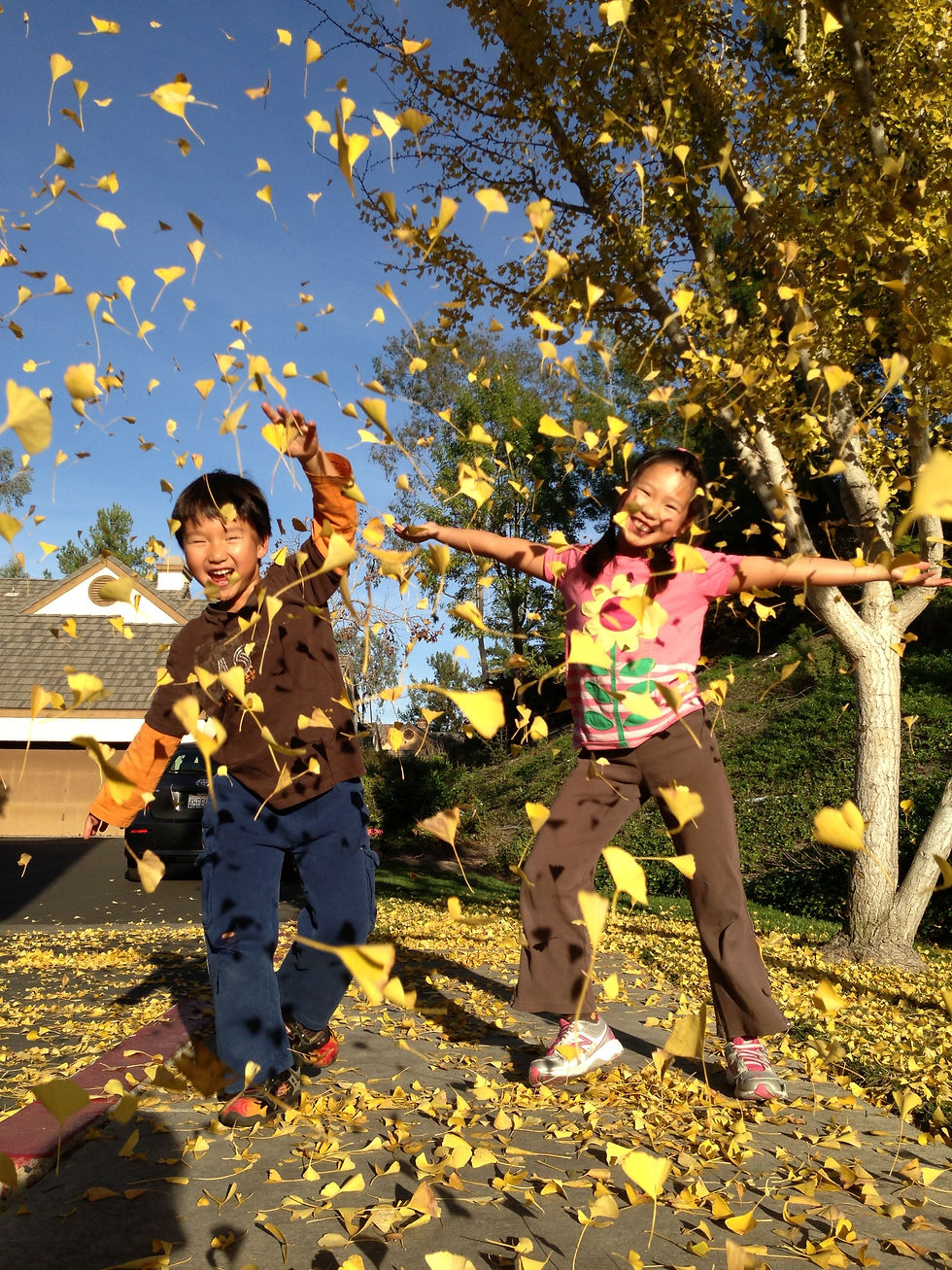 A Little Bit about David