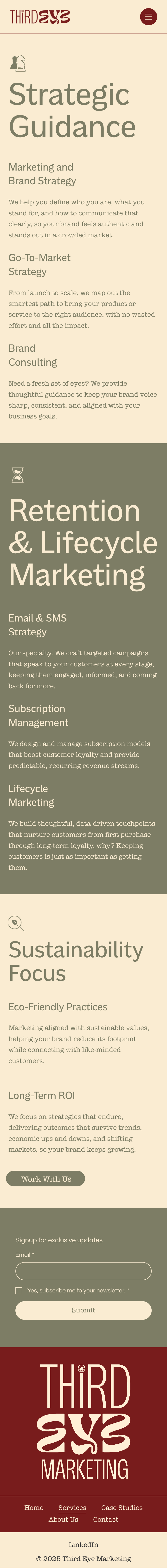 screencapture-thirdeyemarketing-co-services-2025-06-10-10_36_22.png