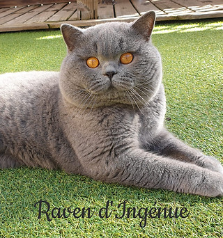 338242651_1894866847514180_5391116709673