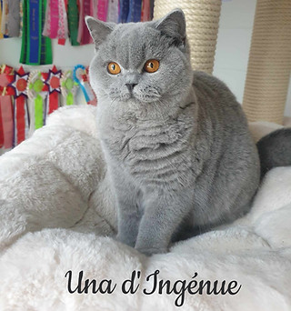 416089063_1293003121379075_9090845987109