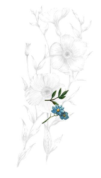 Endicott Left Flower-min.png