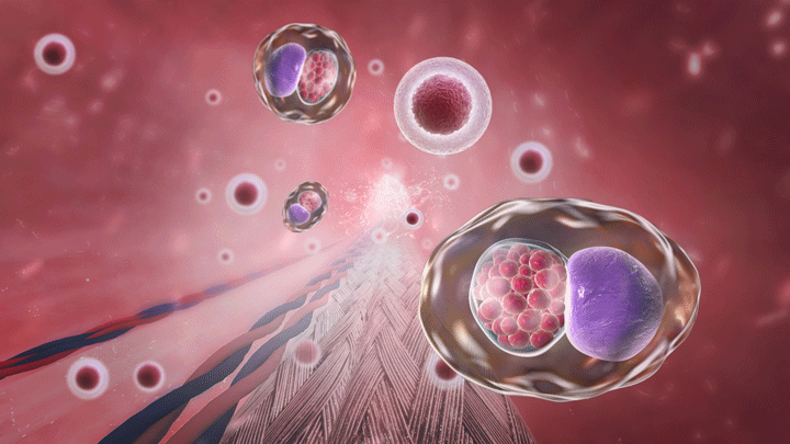 Outsourcing-de-animación-médica-3D.gif