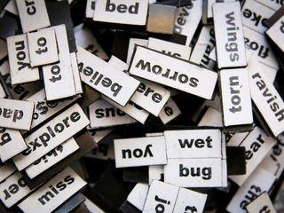 Personal Dictionaries for Content Area Support