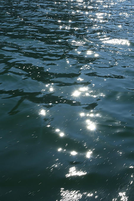 WhatsApp Image 2025-03-12 at 15.51.16_9149f2f1.jpg