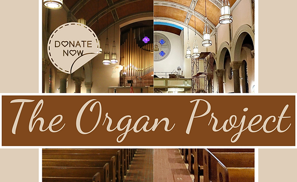 The Organ Project (1).png