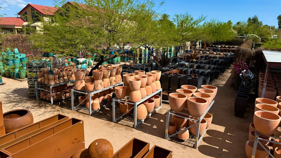 Display of terra cotta pots, ceramic tree planters and weathered steel pots