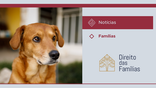 Guarda e pensão para pets. Projeto de Lei reconhece a família multiespécie