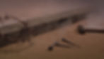 Miniature : Crucifixion Sponge digital pictures Jpegs