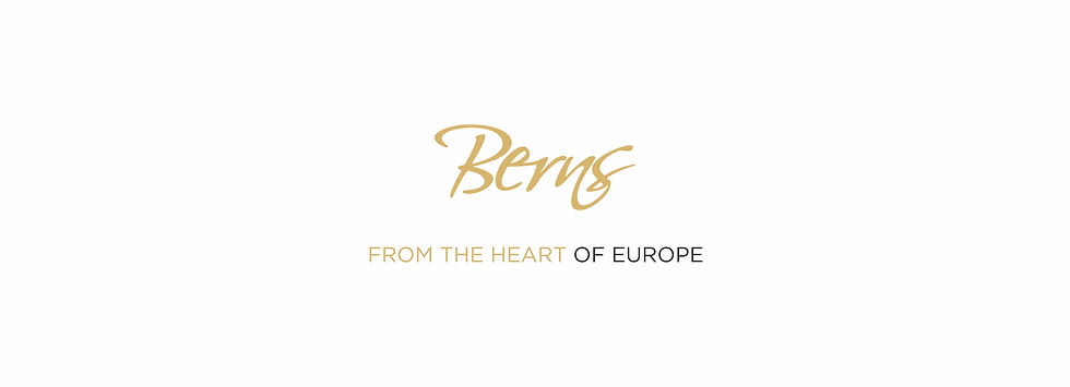 Berns Brand Brochure 2021