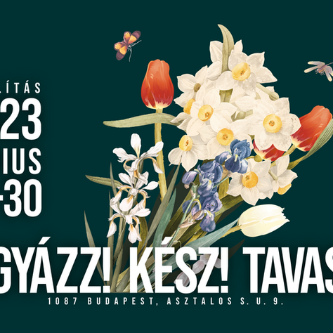 TAVASZ 2024 KIÁLLÍTÁS - VIGYÁZZ! KÉSZ! TAVASZ!